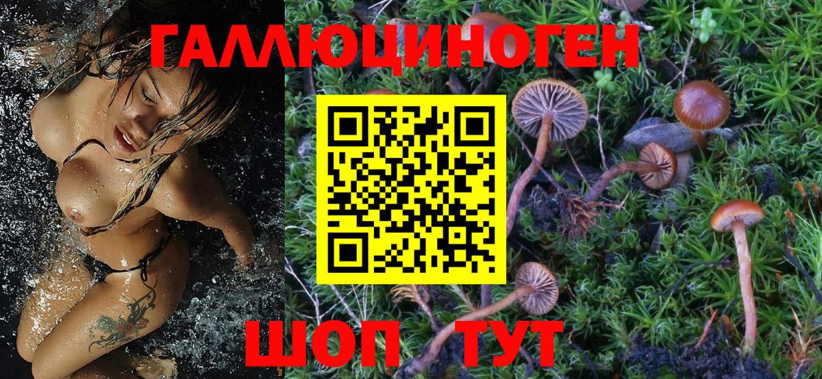 Галлюциногенные грибы Magic Shrooms Чехов