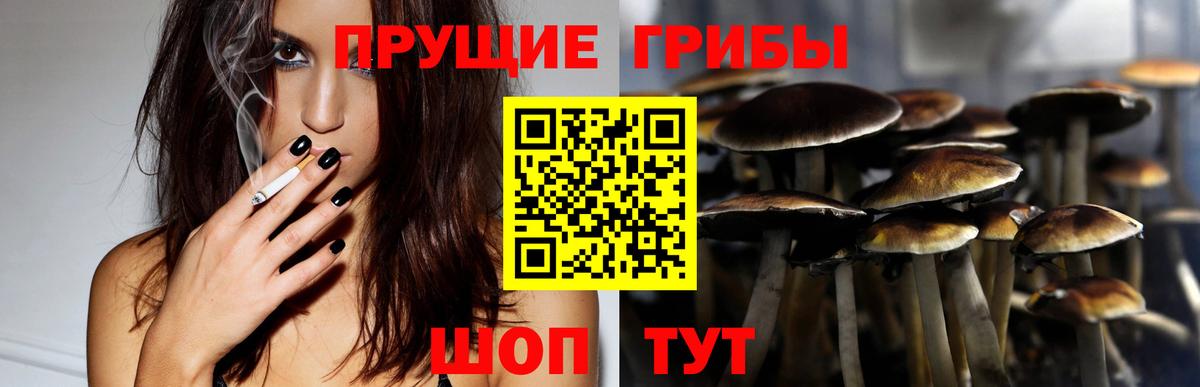 Чехов  Псилоцибиновые грибы Psilocybe  Вход с VPN 